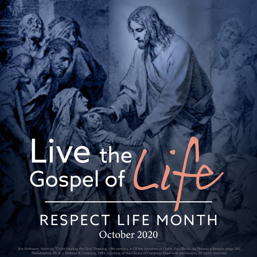 USCCB logo for Respect Life Month 2020 Diocese of Venice