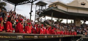 Bishop Neumann High School Pirates Apparel Store