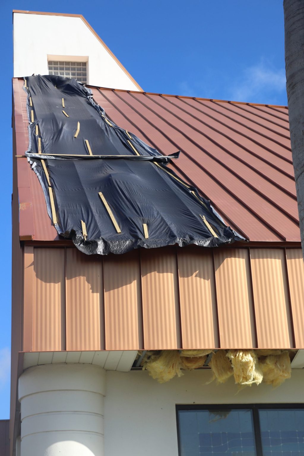 More Stories From Hurricane Ian Diocese Of Venice